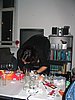 IMG_0079.JPG